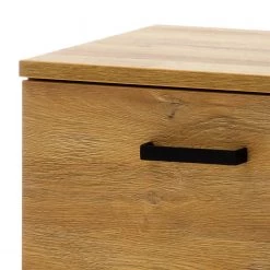 Red Living Banc d’entrée Krokby - Imitation chêne Grandson / Noir -Bancs Soldes Boutique 1000129145 200811 14093201403 DETAILS P000000001000129145